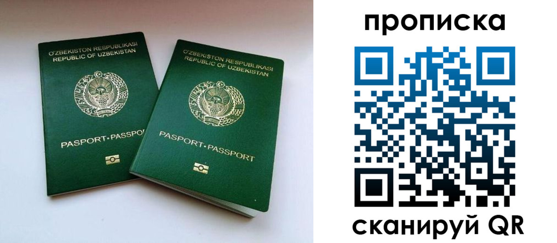 прописка поиск в Волгореченске